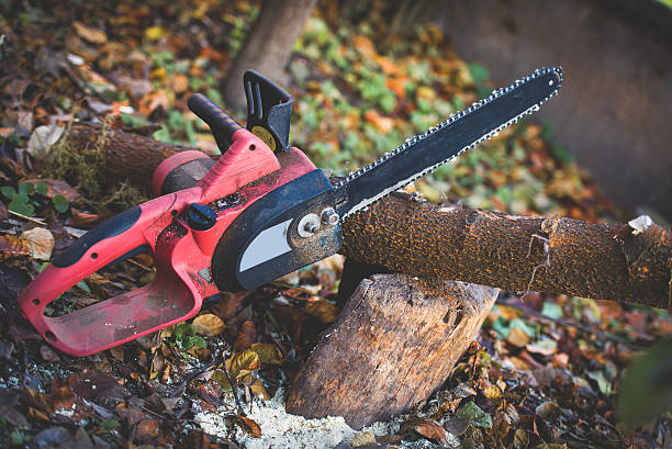 Best Hazardous Tree Removal  in Geneva, FL